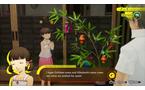 Persona 4 Revival Edición coleccionista - PlayStation 5