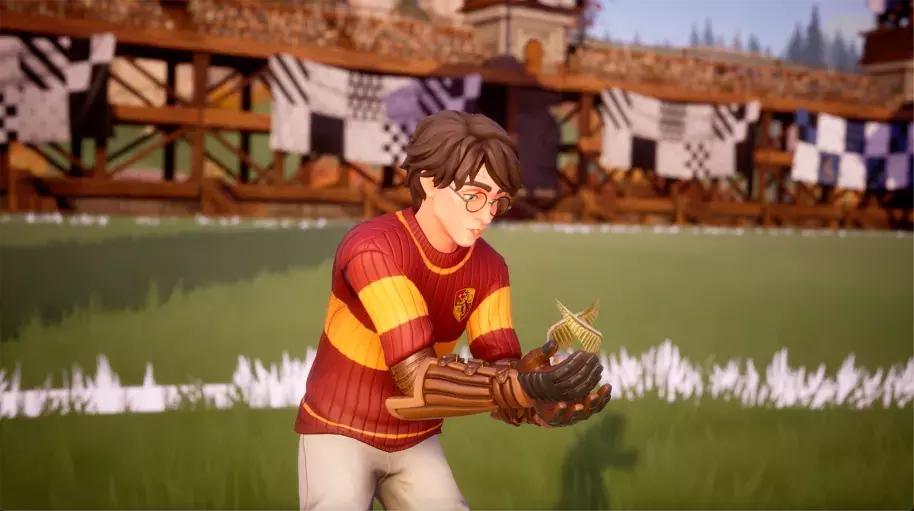 Harry’s first Snitch